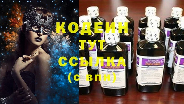 прущие крисы Вяземский