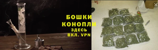 прущие крисы Вяземский