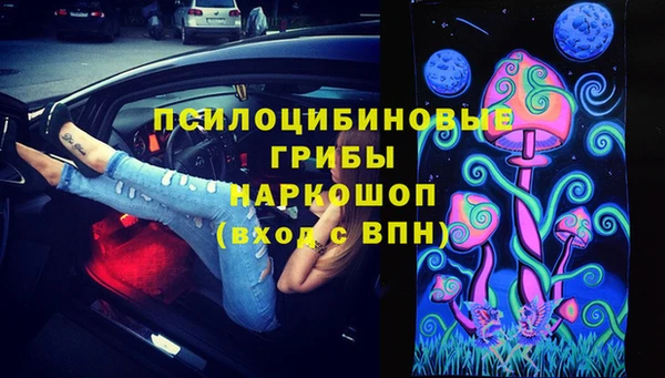 прущие крисы Вяземский
