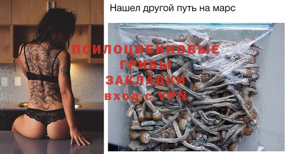 ешки Вязьма