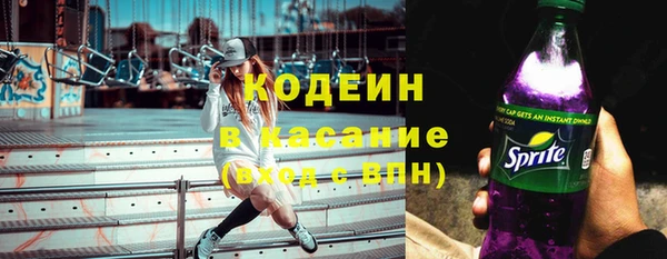 прущие крисы Вяземский