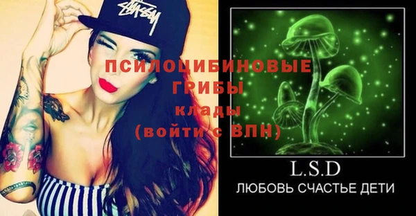 ешки Вязьма